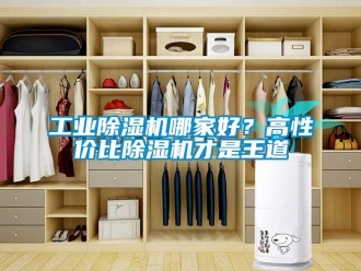 企業(yè)新聞工業(yè)除濕機(jī)哪家好？高性價(jià)比除濕機(jī)才是王道