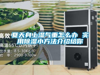 企業(yè)新聞夏天身上濕氣重怎么辦 實用除濕小方法介紹給你