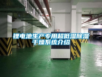 行業新聞鋰電池生產專用超低濕除濕干燥系統介紹