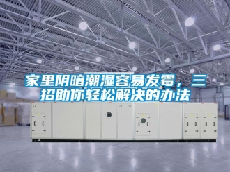 行業(yè)新聞家里陰暗潮濕容易發(fā)霉，三招助你輕松解決的辦法