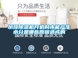 行業(yè)新聞吊頂除濕機(jī)開機(jī)時(shí)未能產(chǎn)生水分是哪些原因造成的
