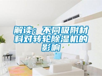行業(yè)新聞解讀：不同吸附材料對(duì)轉(zhuǎn)輪除濕機(jī)的影響