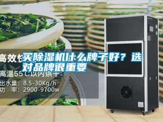 行業(yè)新聞買除濕機(jī)什么牌子好？選對品牌很重要