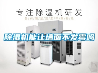 行業(yè)新聞除濕機能讓墻面不發(fā)霉嗎