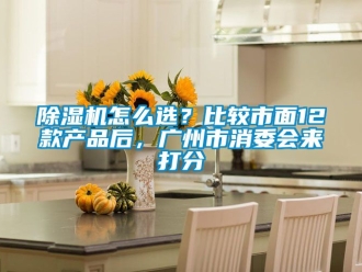 行業新聞除濕機怎么選？比較市面12款產品后，廣州市消委會來打分