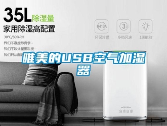 知識百科唯美的USB空氣加濕器