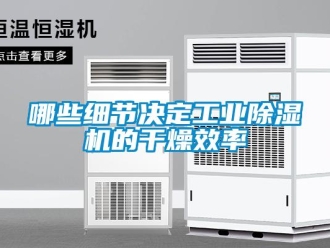 行業(yè)新聞哪些細(xì)節(jié)決定工業(yè)除濕機(jī)的干燥效率