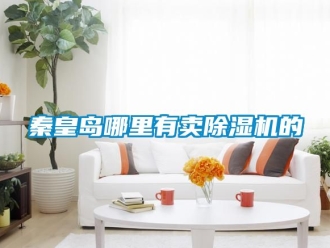 行業(yè)新聞秦皇島哪里有賣(mài)除濕機(jī)的