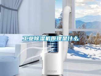 企業新聞工業除濕機原理是什么