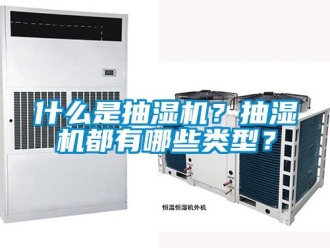企業(yè)新聞什么是抽濕機(jī)？抽濕機(jī)都有哪些類型？