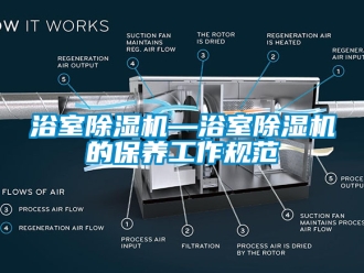行業新聞浴室除濕機—浴室除濕機的保養工作規范