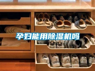 行業(yè)新聞孕婦能用除濕機嗎