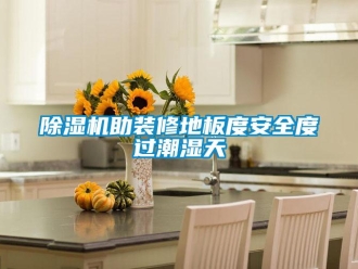 企業(yè)新聞除濕機助裝修地板度安全度過潮濕天