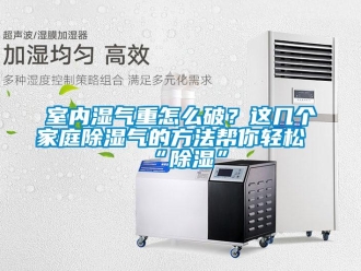 企業新聞室內濕氣重怎么破？這幾個家庭除濕氣的方法幫你輕松“除濕”