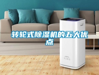 知識(shí)百科轉(zhuǎn)輪式除濕機(jī)的五大優(yōu)點(diǎn)