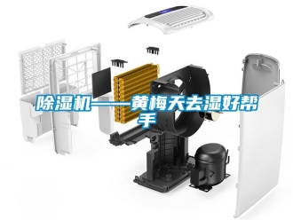 行業新聞除濕機——黃梅天去濕好幫手