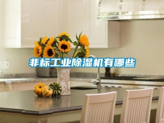 企業新聞非標工業除濕機有哪些