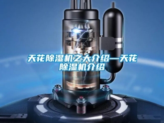 行業(yè)新聞天花除濕機之大介紹—天花除濕機介紹