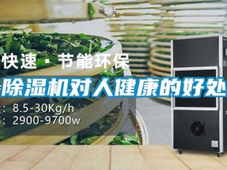 企業(yè)新聞除濕機對人健康的好處