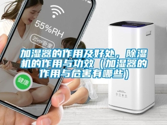 行業(yè)新聞加濕器的作用及好處，除濕機(jī)的作用與功效（加濕器的作用與危害有哪些）