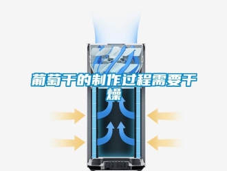 行業(yè)新聞葡萄干的制作過程需要干燥