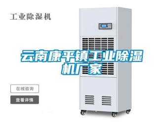 企業新聞云南康平鎮工業除濕機廠家