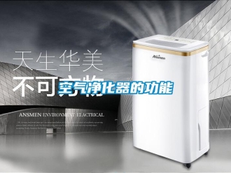 行業(yè)新聞空氣凈化器的功能