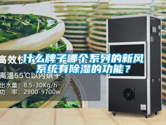 行業新聞什么牌子哪個系列的新風系統有除濕的功能？