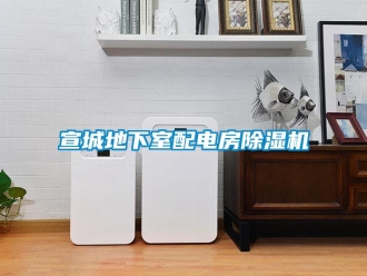 行業(yè)新聞宣城地下室配電房除濕機(jī)