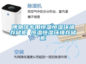 知識百科博物館專用恒溫恒濕環境存儲柜 恒溫恒濕環境存儲柜