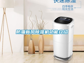 企業新聞防霾新風除濕機功能介紹