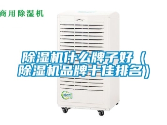 企業(yè)新聞除濕機(jī)什么牌子好（除濕機(jī)品牌十佳排名）