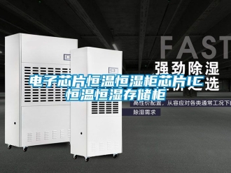 知識百科電子芯片恒溫恒濕柜芯片IC恒溫恒濕存儲柜