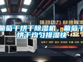 行業(yè)新聞葡萄干烘干除濕機，葡萄干烘干均勻排濕快