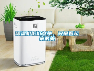 企業新聞除濕機低價競爭，只是看起來很美