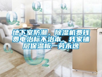 行業(yè)新聞地下室防潮，除濕機費錢費電治標不治本，我家鋪層保溫板一勞永逸