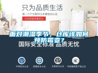 企業(yè)新聞面對(duì)潮濕季節(jié)，倉(cāng)庫(kù)該如何預(yù)防霉變？