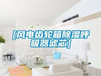 企業新聞[風電齒輪箱除濕呼吸器濾芯]