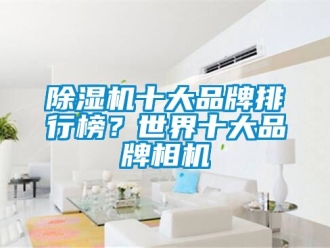 企業新聞除濕機十大品牌排行榜？世界十大品牌相機
