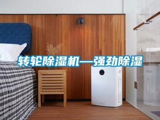 知識(shí)百科轉(zhuǎn)輪除濕機(jī)—強(qiáng)勁除濕
