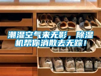 企業新聞潮濕空氣來無影，除濕機幫你消散去無蹤！