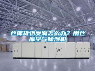 企業新聞倉庫貨物受潮怎么辦？用倉庫空氣除濕機