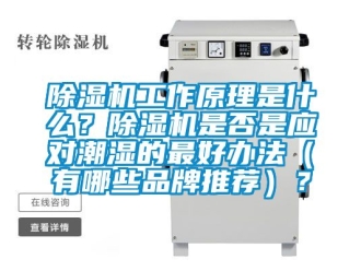 企業新聞除濕機工作原理是什么？除濕機是否是應對潮濕的最好辦法（有哪些品牌推薦）？