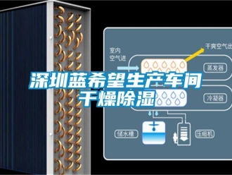 知識(shí)百科深圳藍(lán)希望生產(chǎn)車間干燥除濕