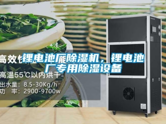 行業新聞鋰電池廠除濕機，鋰電池廠專用除濕設備
