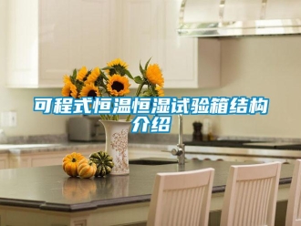 知識百科可程式恒溫恒濕試驗箱結(jié)構(gòu)介紹