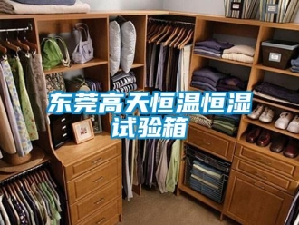 知識百科東莞高天恒溫恒濕試驗箱