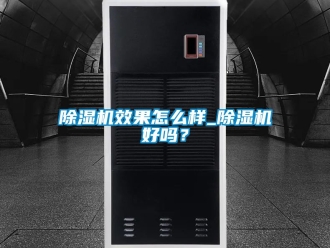 行業新聞除濕機效果怎么樣_除濕機好嗎？