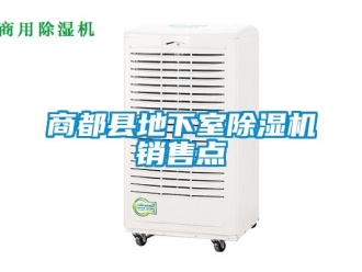 行業(yè)新聞商都縣地下室除濕機(jī)銷(xiāo)售點(diǎn)