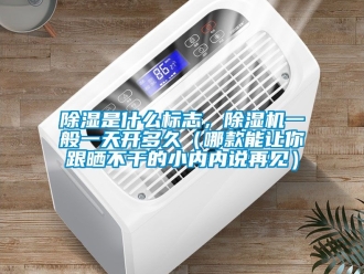 行業新聞除濕是什么標志，除濕機一般一天開多久（哪款能讓你跟曬不干的小內內說再見）